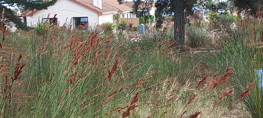 0 Bedroom Property for Sale in Albertinia Western Cape